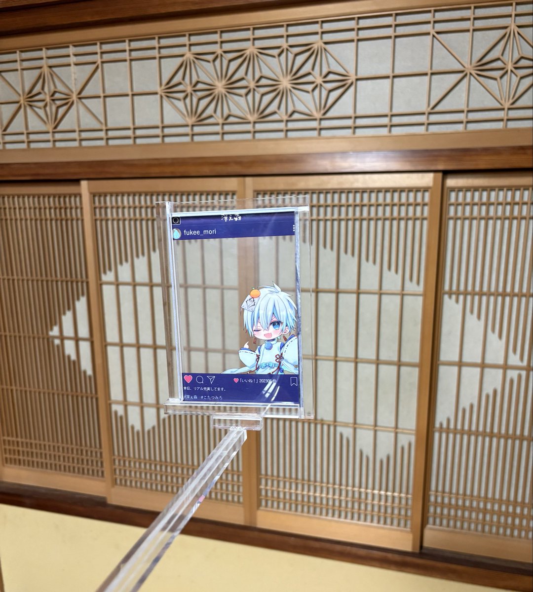 yomichi16awg's tweet photo. 出来たー！題して、「推し様しか写らん」！
めっちゃ時間かかった、加工は1日だけどw

#こたつみろ　#深ぇ森 https://t.co/F4Z4keJgzc