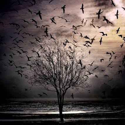 MLORENTSON's tweet photo. ONE   THOUGHT,  ONE WORD- FREEDOM! https://t.co/caJPAa0Mia