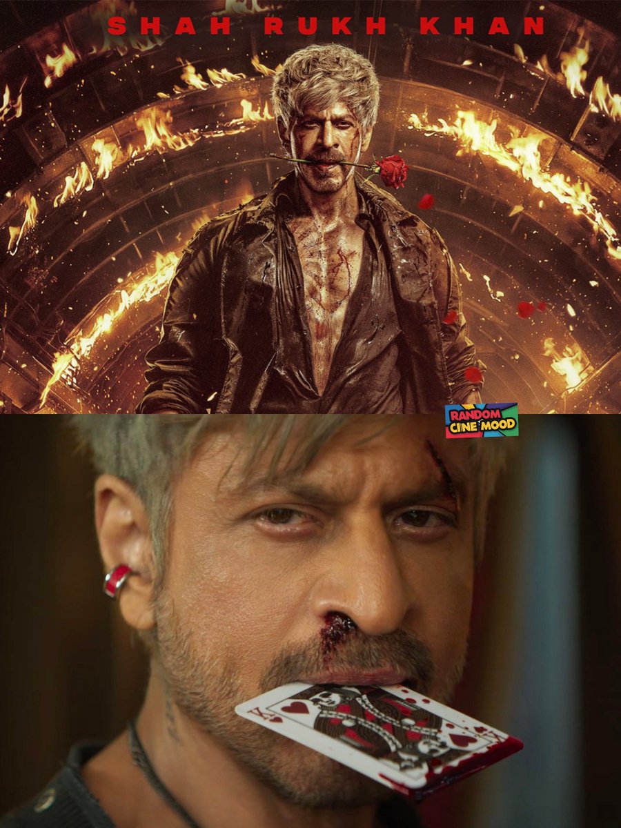 RandomCineMood's tweet photo. King card ✅️ 
Rose ✅️

What’s Next, @justSidAnand ? 👀 https://t.co/b5SumE7NHS