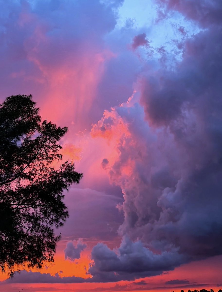 naturehealyou's tweet photo. Dark clouds and a pink sunset. https://t.co/jpVnqqOQ4W
