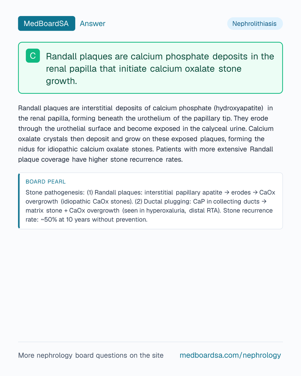 MedBoardSa's tweet photo. ✅ Here's the answer, with the reasoning.

Practise nephrology board questions with detailed explanations: https://t.co/ge5ZQfCG4t https://t.co/WBtA8KslDP