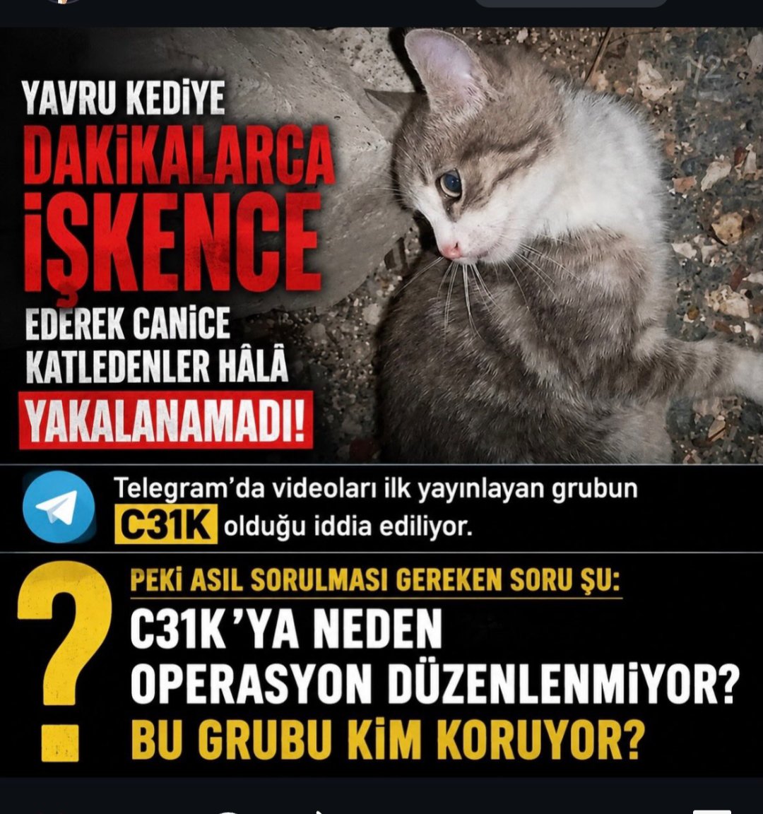 ecekurtulus41's tweet photo. https://t.co/xAItWahKkE