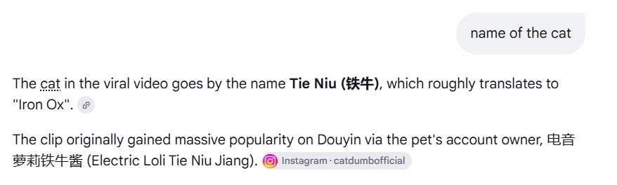 0xPurpled's tweet photo. I just found the kitten's name!

by asking gemini it led to me "Tie Niu", but we couldnt be sure, so I searched for the original video on tiktok (posted 1 week ago):

https://t.co/VRuNNPBFWF

The account gives credits to the owner (same account as gemini meantioned https://t.co/hM1jgeiLkc