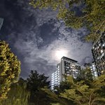 Photo by xlog (@aiNeoHuman)
