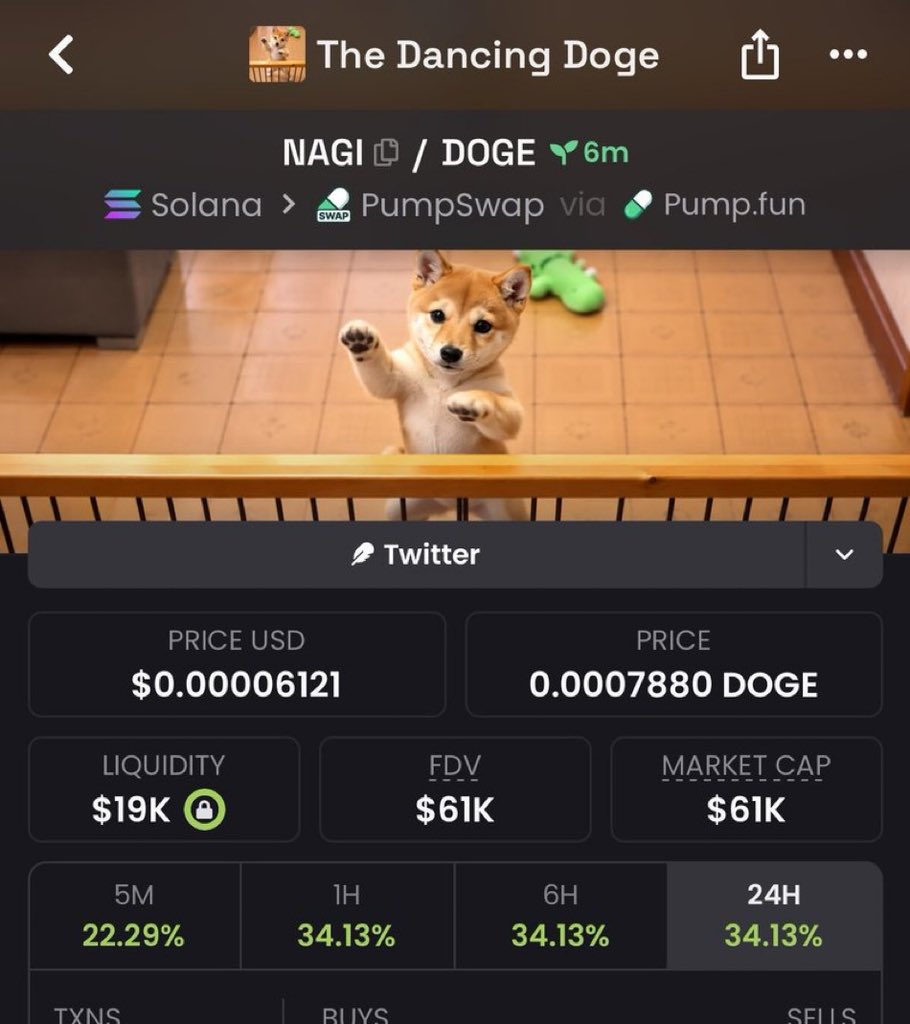 ALPHAxOM3GA's tweet photo. 12x
 $NAGI

43wfrR1AA9xw4hDb1JdKLSawK6beutKMiGgVHDmmpump https://t.co/BUJeeS8Npo