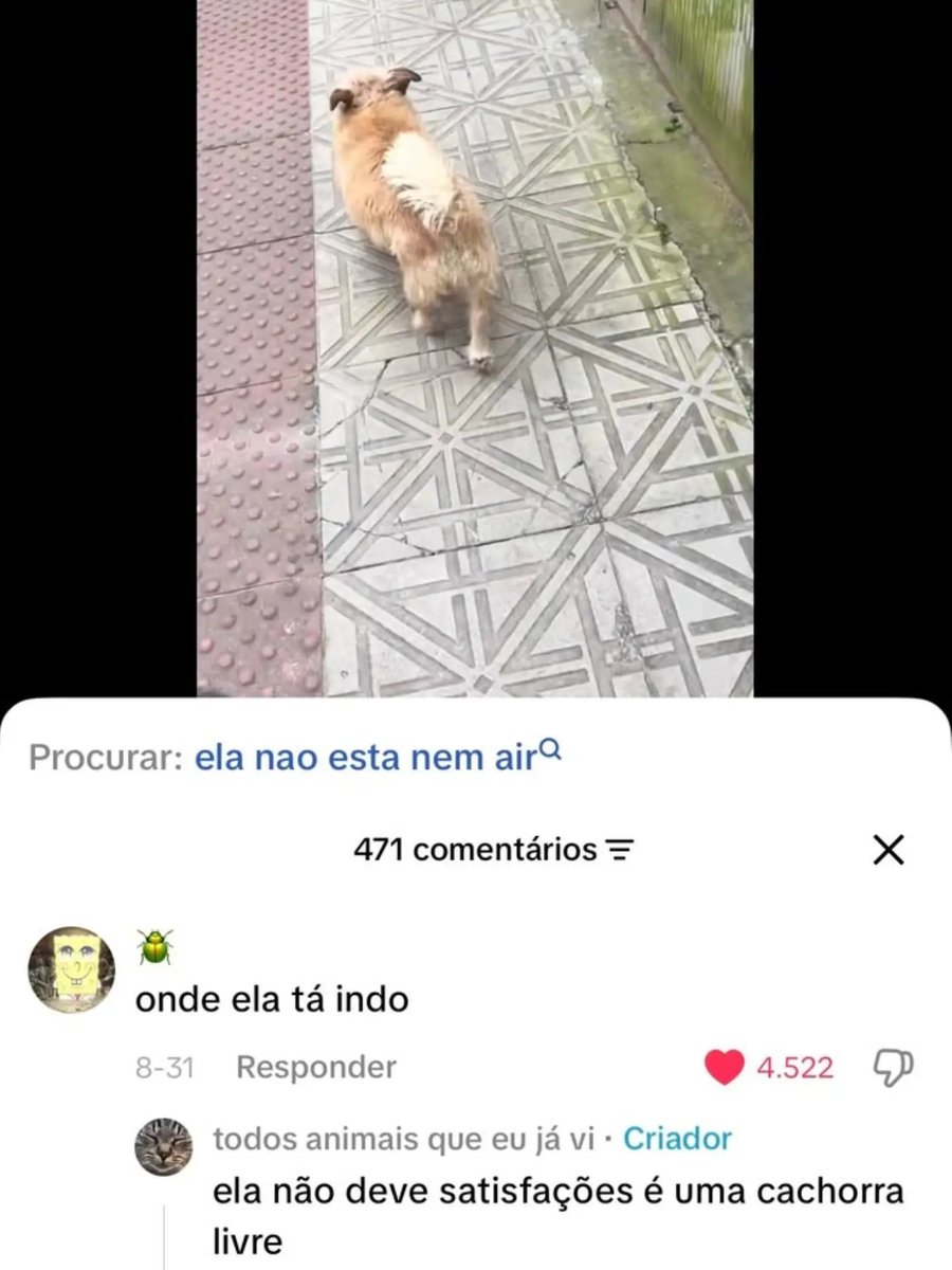 oocbrazill's tweet photo. ainda vivemos em uma democracia https://t.co/MrEDKEJDja