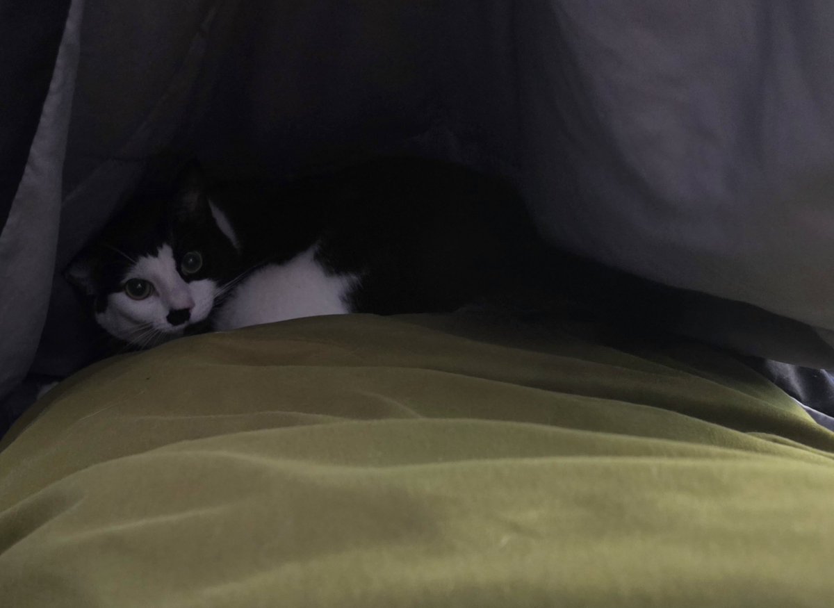 RiotFollie's tweet photo. Good morning, Players. Look at my nosey daughter 😭 https://t.co/MRReS9s1R4