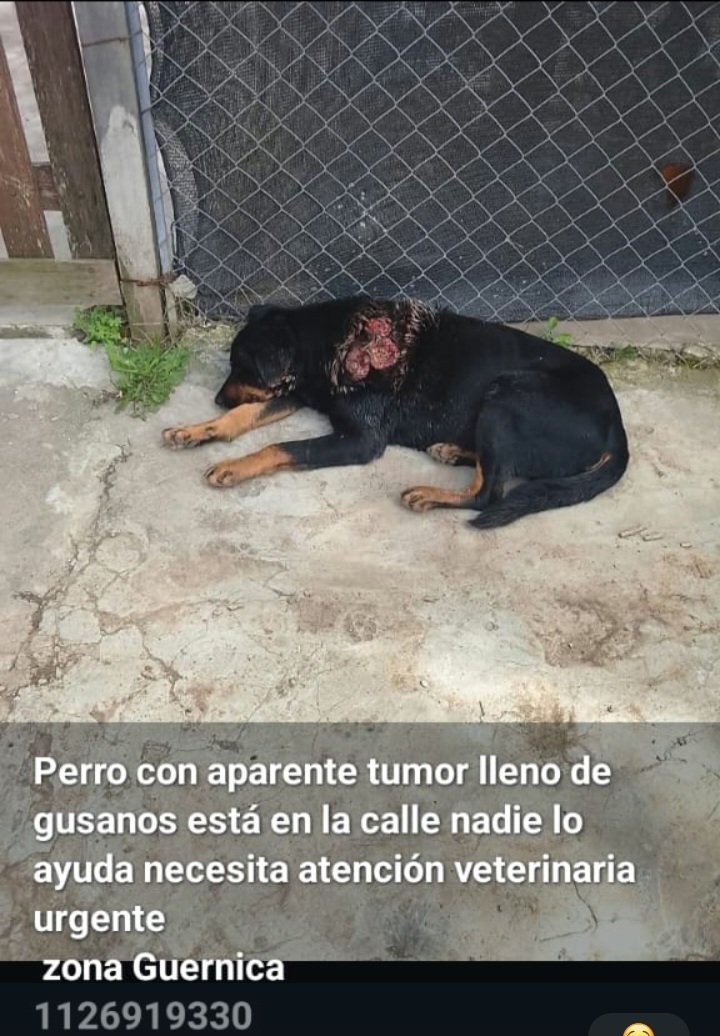 RaquelMait's tweet photo. DIFUNDAN X FAVOR. GRACIAS https://t.co/be9ITRv9ez