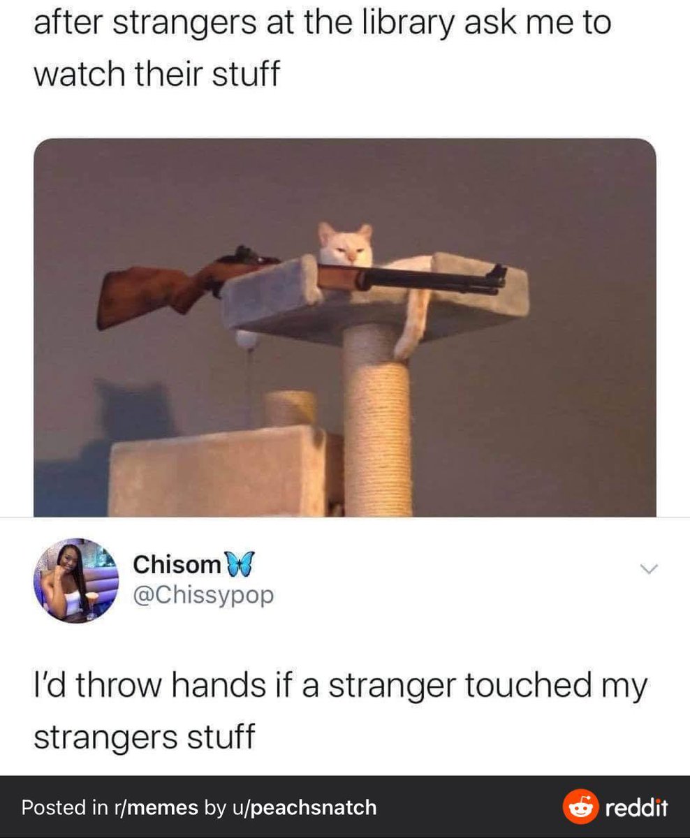 WholesomeMeme's tweet photo. https://t.co/NTTJFwsADj