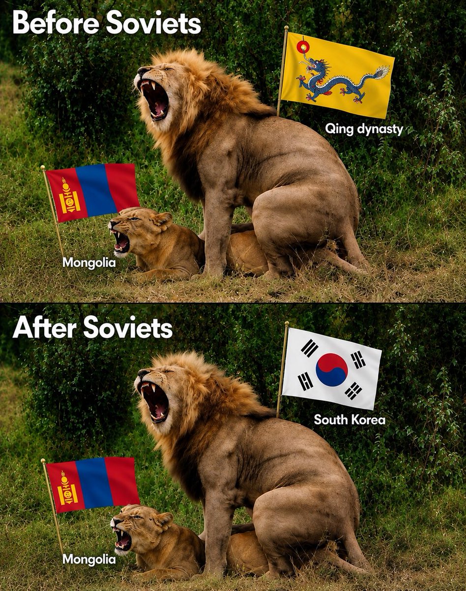 Turkroach69 tweet picture