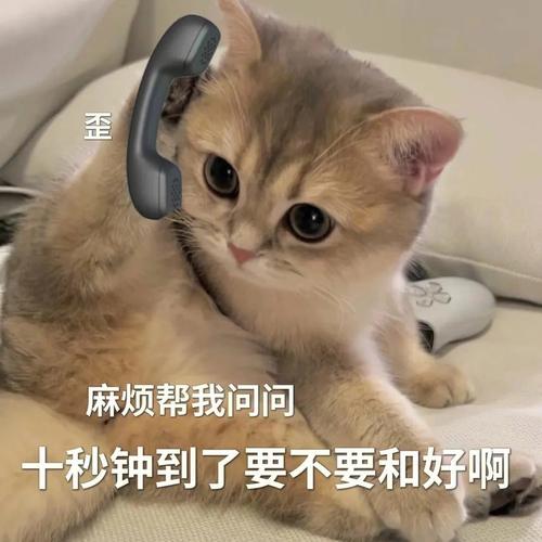 1jQssRgz9Y70759's tweet photo. 「咳蛔？それ何の造語？趴って何だ…まさかの謎の単語の羅列だ！」， https://t.co/vsa13RTLg8