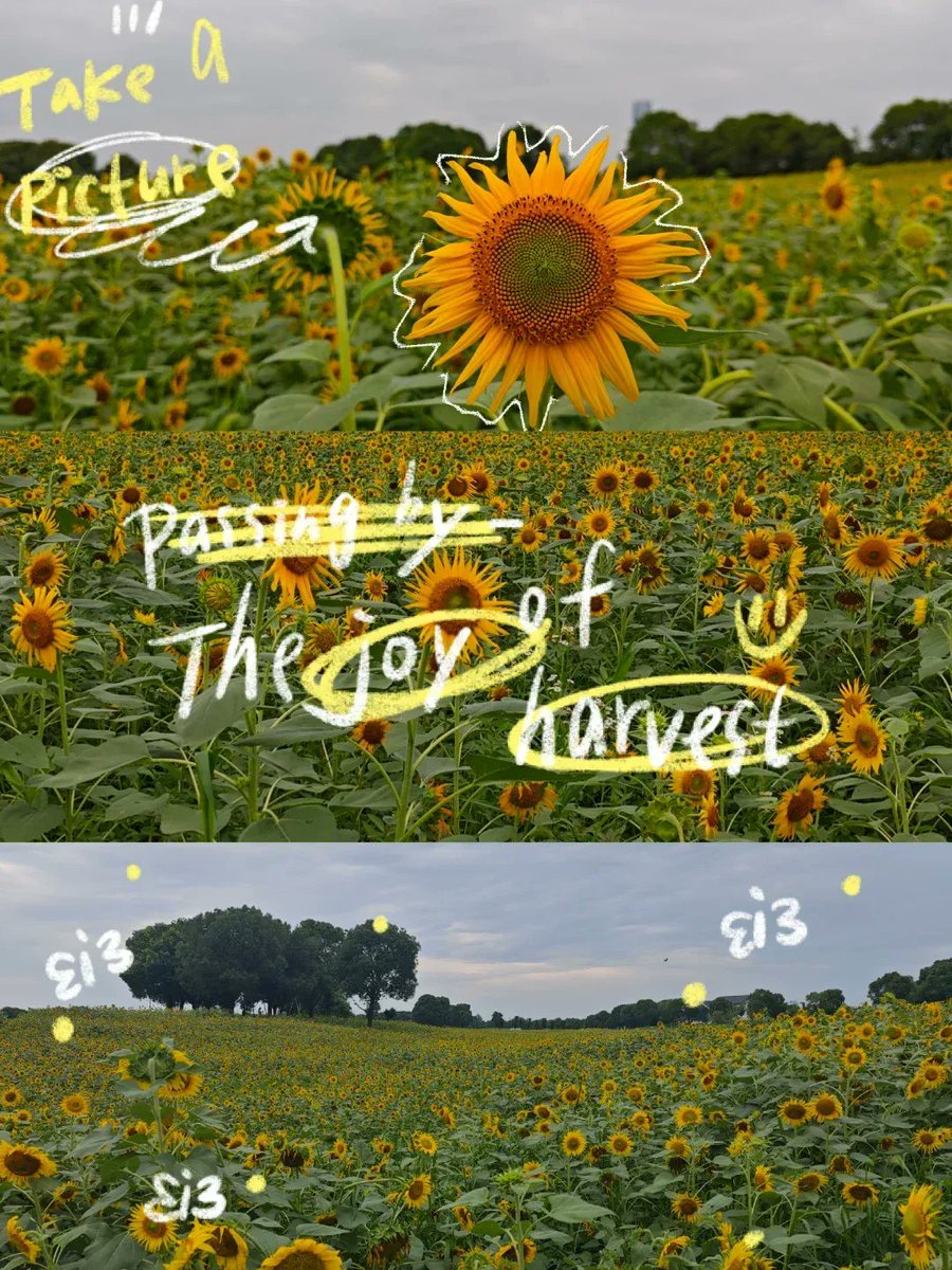 5BytCGYu1eoZFLL's tweet photo. [盟（めい）が映（えい）える蓟（アザミ）の花、恃（とむらい）の心を込めて]， https://t.co/rj5swAsgpA