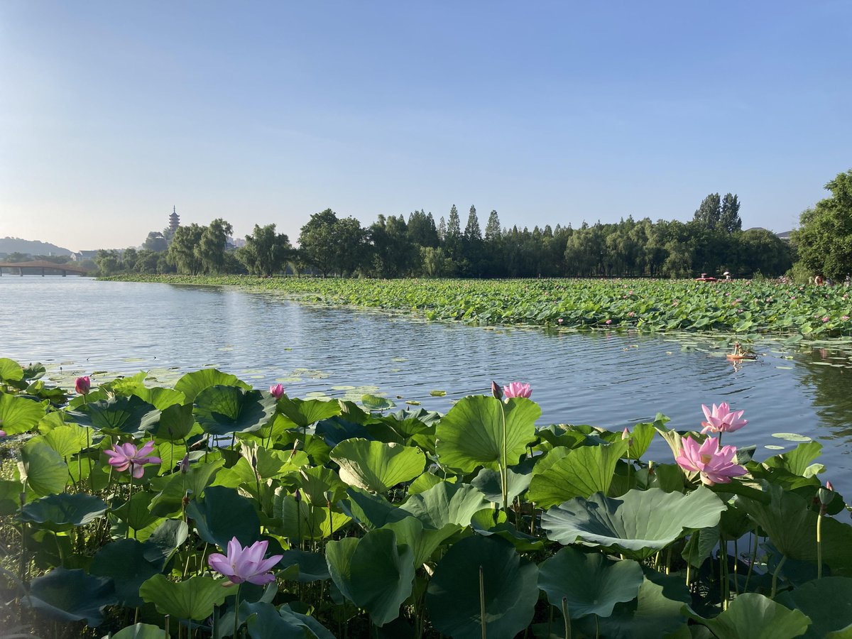 egq2m's tweet photo. 「巡寺潭で夏の風を感じながら、古寺の静寂に包まれる。」， https://t.co/SOTuWtega7