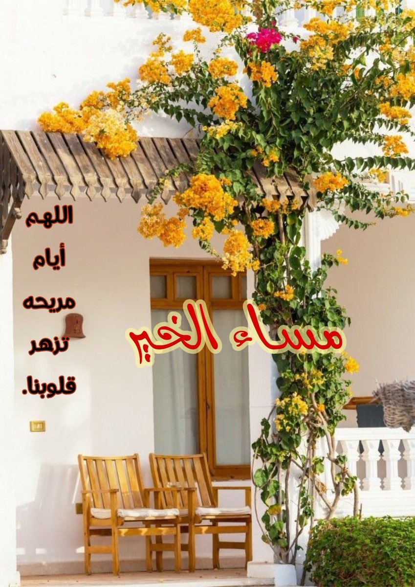 alameri66728245 tweet picture