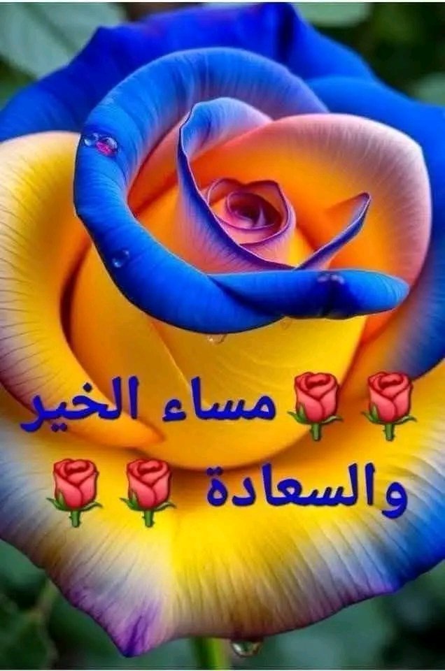 alameri66728245 tweet picture