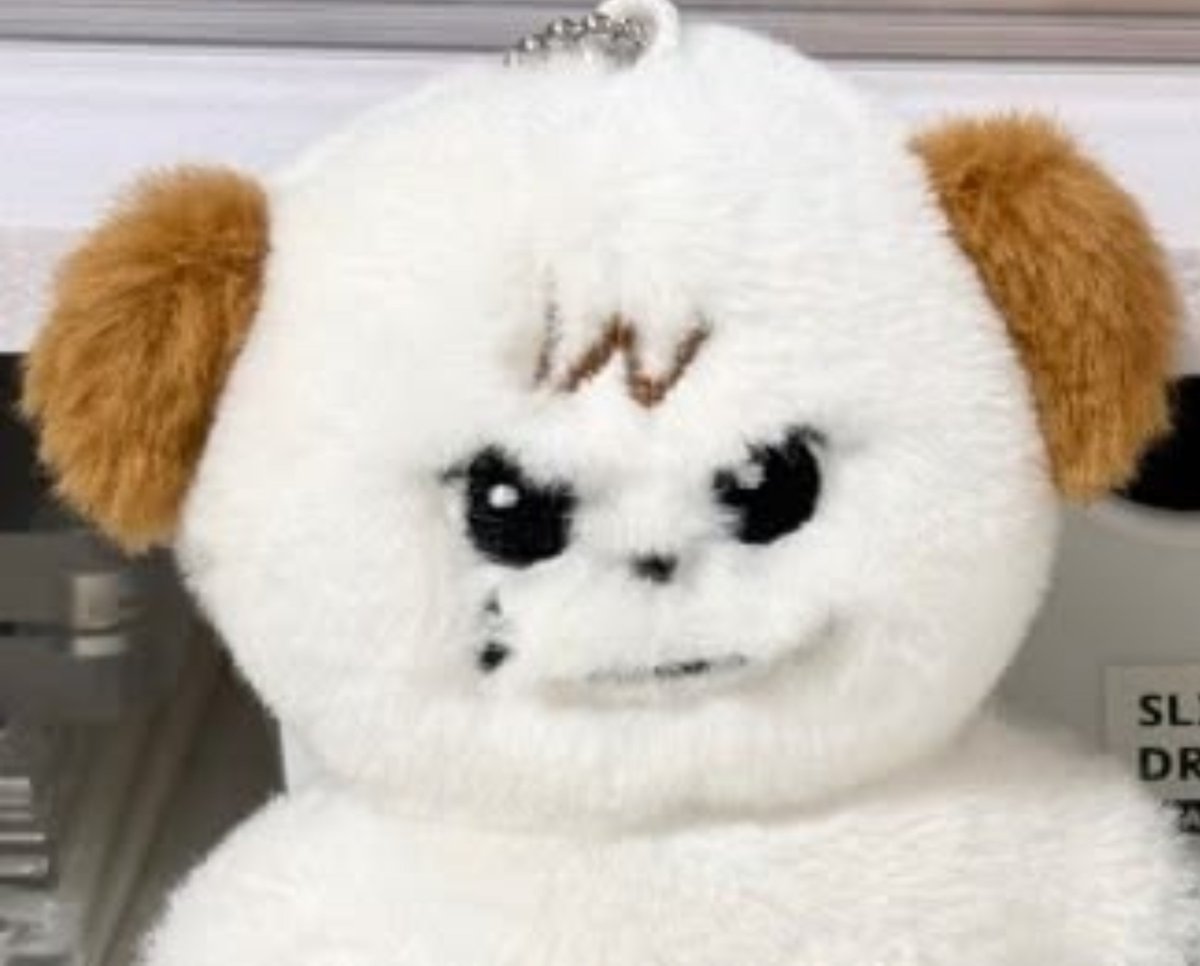 kyuha08's tweet photo. 🐶    🐶(형제) https://t.co/2csfUKc2rQ