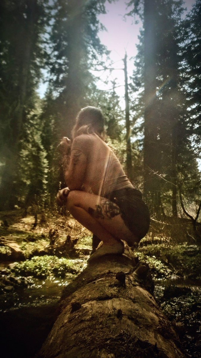Nichole_240's tweet photo. #nature #tattoos #Trending https://t.co/7fhCEQknlr