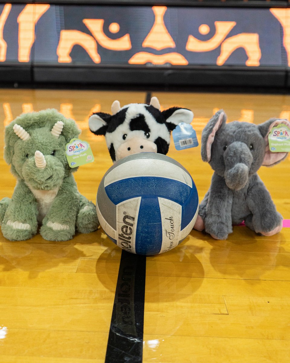 MercerBearsVB's tweet photo. The (Teddy) Bears are ready! 🧸 

See you in Hawkins Arena at 6 p.m.

#DefendTheDen https://t.co/AedghKZZmp