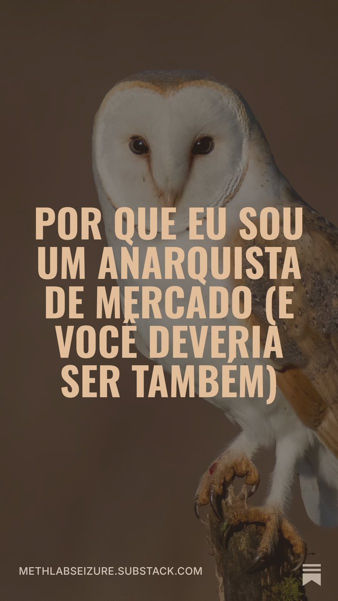 naivethinktank's tweet photo. Flávio Bolsonaro fugiu do Brasil, e neste artigo eu expliquei como você PODE e DEVE fugir do ESTADO! Você não aguenta mais o desespero de possivelmente ter um presidente que você odeia a cada quatro anos. A notícia boa é que nós não dependemos deles.

https://t.co/MkmtFdXsGx https://t.co/X970uvvyo6