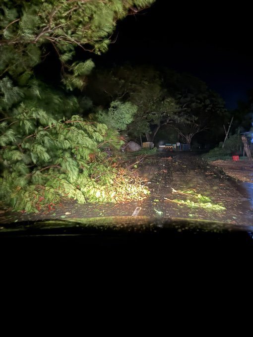 Santhosh_21M's tweet photo. This is Scary we can see Effect of #CyclonArnab in Kakinada Andhra Pradesh tree's fell down On Highway. 🤯🤯 

#CycloneAlert #ArnabCyclone https://t.co/Utd0dKh5uz