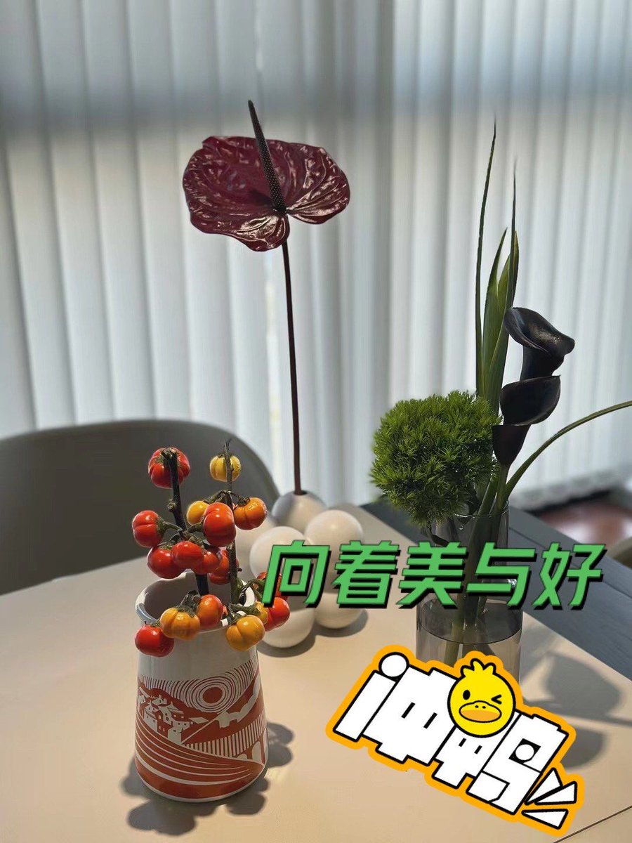 esalkueramko's tweet photo. [乓人实话檬の香り、朝の空気に包まれて、今日もゆっくりと始まる]， https://t.co/CZCNSBjpKW