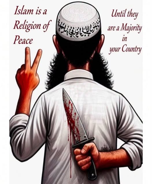CA_LIgator's tweet photo. Deport them all, they will never assimilate into a Christian country... https://t.co/qBaAGwtn0U