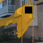 Photo by CC 🐑💛 || 📖: The Book of Hastur (@cc_inyellow)