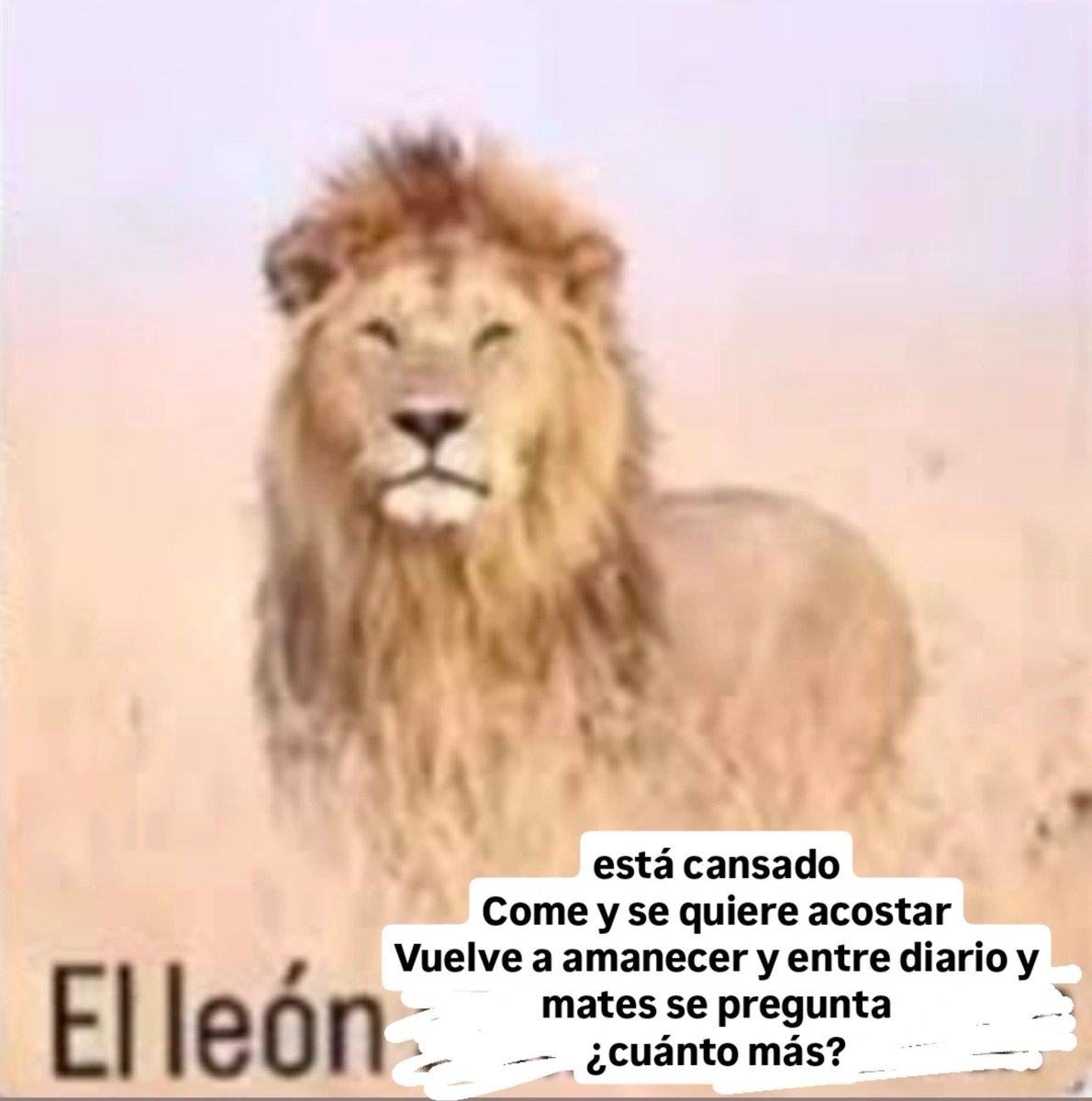 Bvcundo1312's tweet photo. https://t.co/3XL4GupNCm