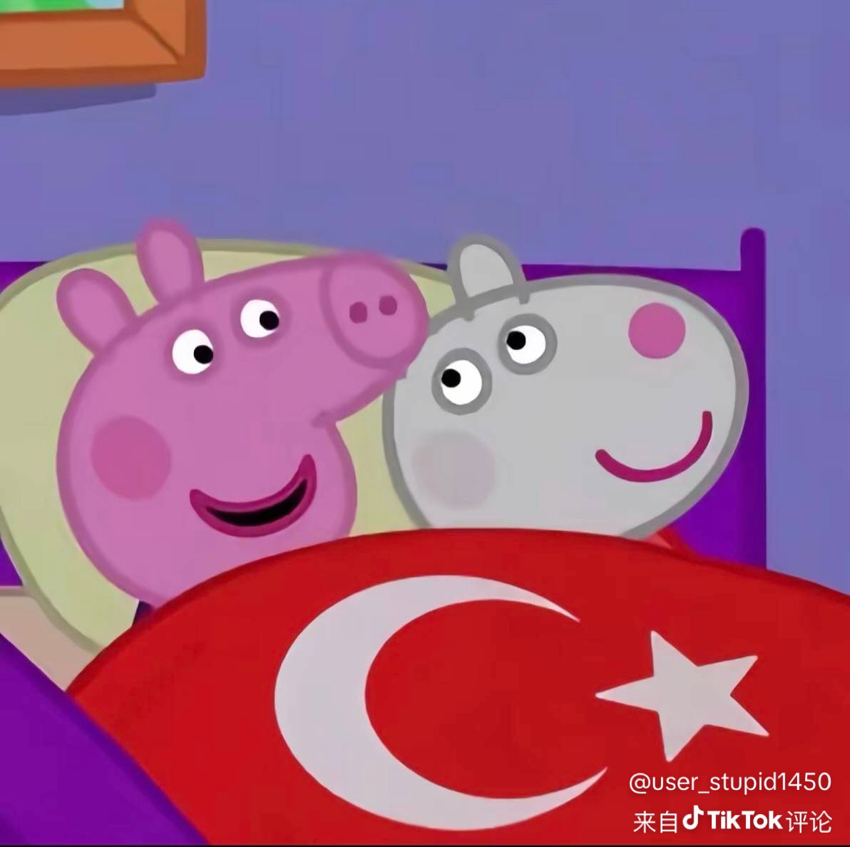 Kiut3p5e's tweet photo. @SHACO_XxX @wenmylove 🤣👉🤡🐷🇹🇷12cm https://t.co/kCohUxLhW1