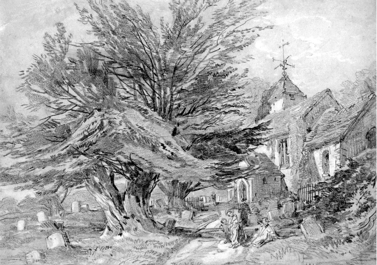 silicasun's tweet photo. #TuesdayTurnUp #OTD #BOTD Sylvia Plath #poetry 💜
'The yew tree points up. It has a Gothic shape.
The eyes lift after it and find the moon...
Her blue garments unloose small bats and owls...'
The Moon and The Yew Tree 
#Gothober #Spooktober #Halloween #silicasun 👻🍂🦇🌳📓🎃🦉💚 https://t.co/Ojk39z8vHE