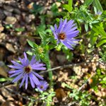 Photo by Wake County Parks (@WakeGovParks)