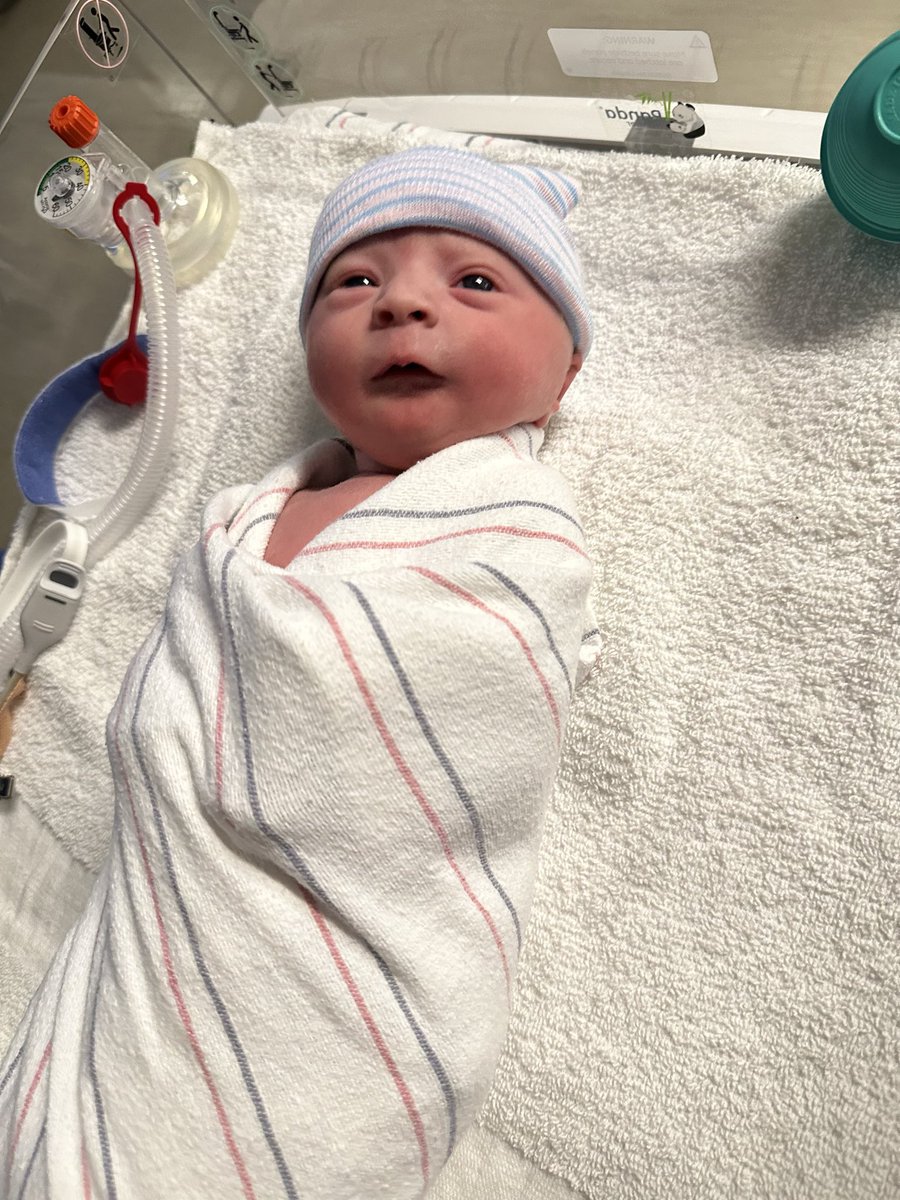 HawkeyCode's tweet photo. Have kids. This was the best 27 hours of my life. https://t.co/CzaHdunJCl