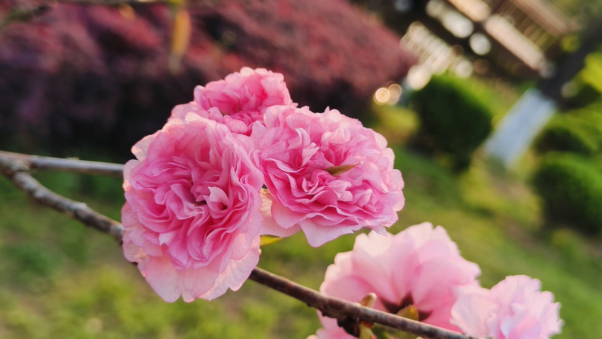 bi4KfyuAO5tVldI's tweet photo. 今日の芳しい花畑で、まるで陡い小道を登るような、特別な気分。自ら選んだこの化粧が、私の毎日を輝かせる。 https://t.co/YkLslUpbdO