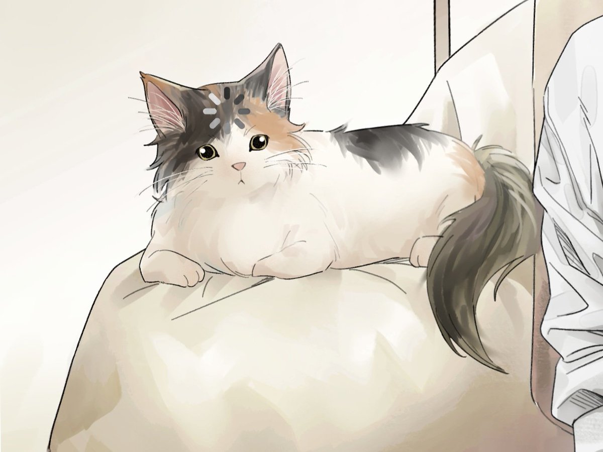 Scott4959955010's tweet photo. I love how she reacts :33 https://t.co/bEai5N7wOH