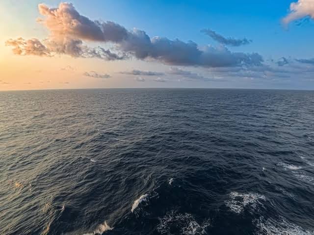 _Mr_Richard's tweet photo. Would you rather get stranded in 

The Amazon Forest     Or     The Sea https://t.co/ms21LQtOTT