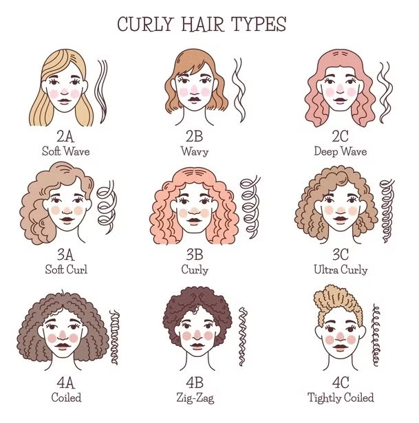lasuperchoco2's tweet photo. Claro que cada rizo es diferente, por eso se hace esta categoría, donde el 1 es liso, 2 es ondulado, 3 rizado y el 4 afro. 
tener un cabello tipo 2a o 2b, utilizar 200 productos, mas moldear mechón a mechón, y decir que eres 3b. es como si yo digo que soy rubia, cuando me tiño. https://t.co/FJ2jat9okq