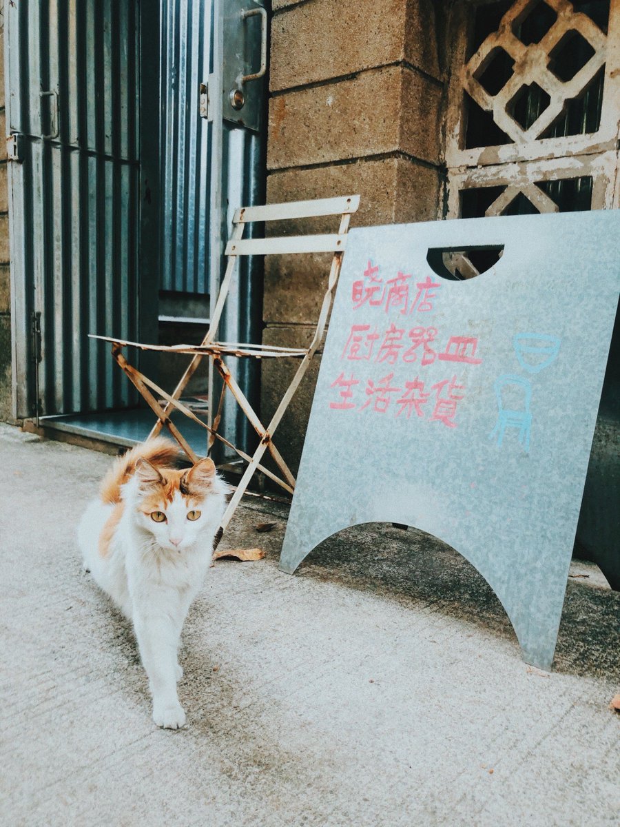 wninvf's tweet photo. 嘘よりマシだ、この世界では https://t.co/JxETfj3oLP