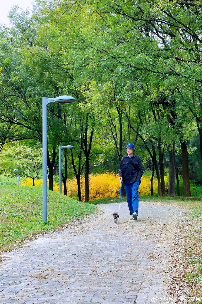 54mvf's tweet photo. [今日は秋の風が気持ちよくて、公園でフェラードのコートを羽織って散歩しました。]， https://t.co/XXSdUVhTHn