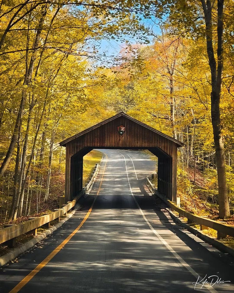 Weemus0417's tweet photo. I'm a #CoveredBridge fanatic and love this photo, taken recently in #Michigan. Follow "Covered Bridges" on @facebook for more beautiful pictures.💛🤎💛 https://t.co/aj6nop5gRZ
