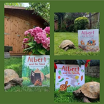 Photo by ALBERT the tortoise® (@AlbertTortoise)