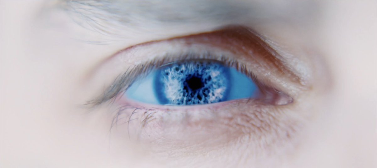 mspyaps's tweet photo. Cinematography by Linus Sandgren https://t.co/33lmm2He1k