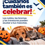 Photo by Comité Ciudadano Seguridad HMO (@CCSPHermosillo)