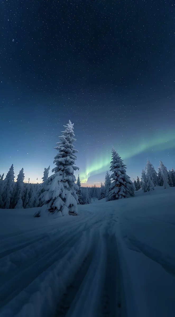 sshyw31's tweet photo. miam la finlande https://t.co/1zAMpcPHg2