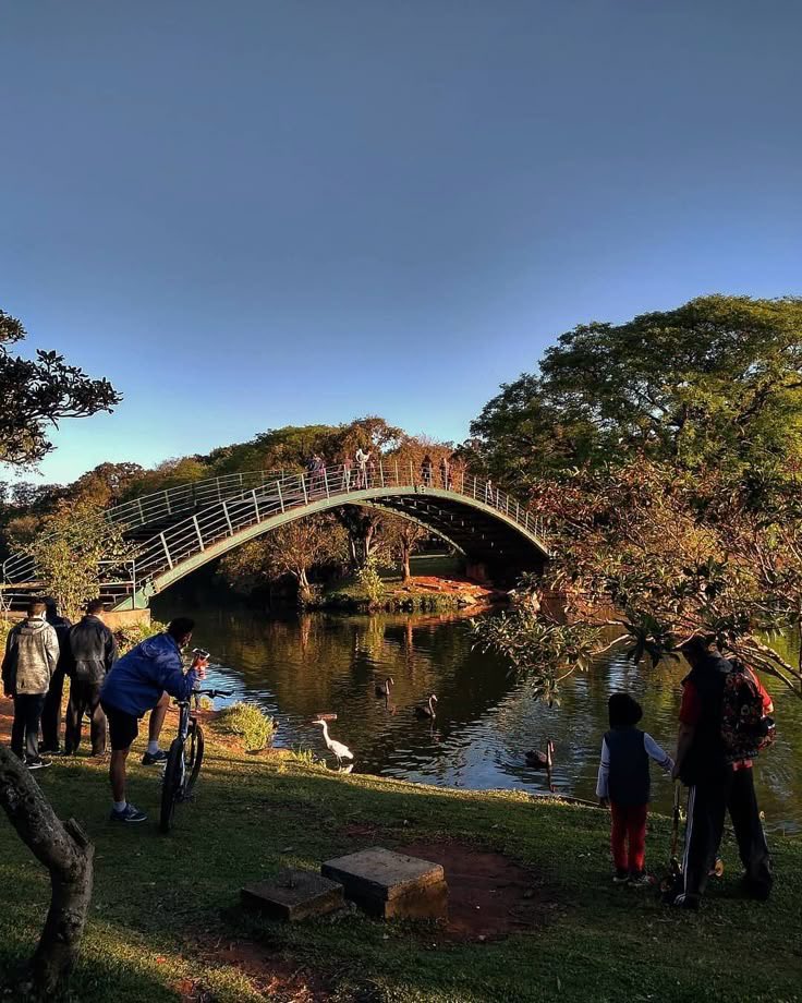 slipdaughter's tweet photo. são paulo na sua tarde mais cinza com a luz dourada do sol banhando a ponte do ibira https://t.co/kcF4SRsQ5U