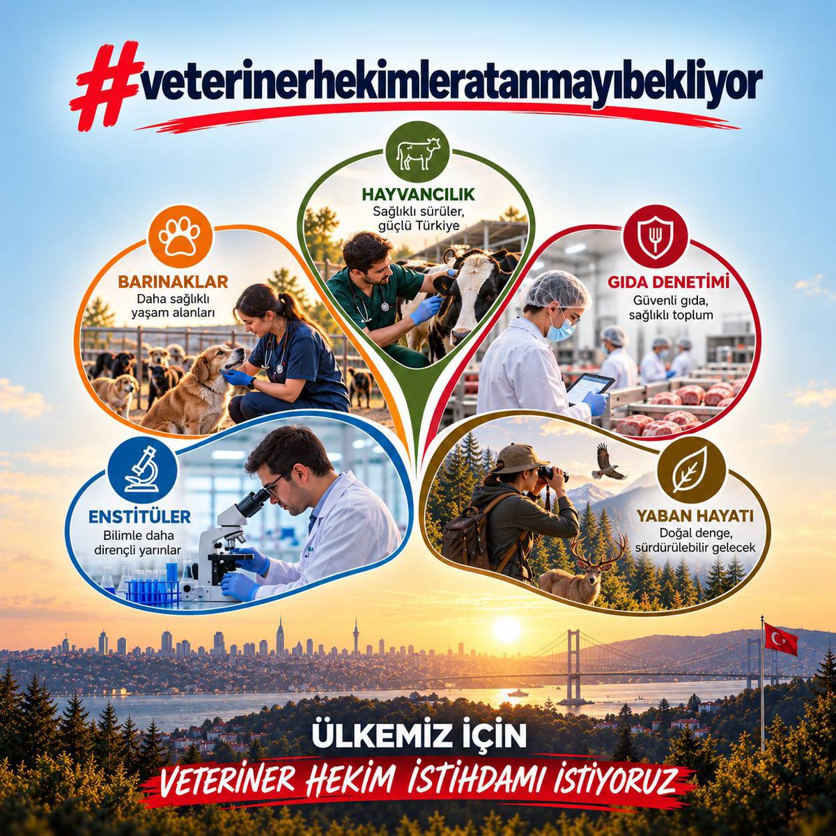 Vetbeyza55's tweet photo. Gıda arzı güvenliğini ve halk sağlığını korumak adına bakanlık bünyesindeki veteriner hekim kadroları hak ettiği sayılara ulaştırılmalıdır. Zamanında ve yeterli sayıda atama bekliyoruz. #veterinerhekimleratanmayıbekliyor 
@TCTarim 
@milliparklar 
@ibrahimyumakli https://t.co/57AvzIfNPX