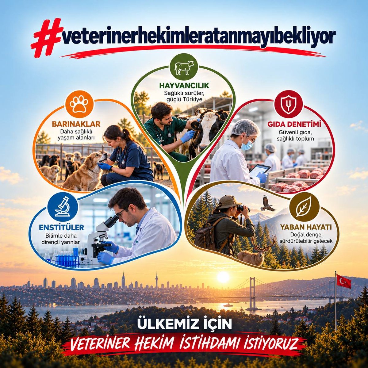 Eminasl21M's tweet photo. #veterinerhekimleratanmayıbekliyor https://t.co/wazApTwCq7
