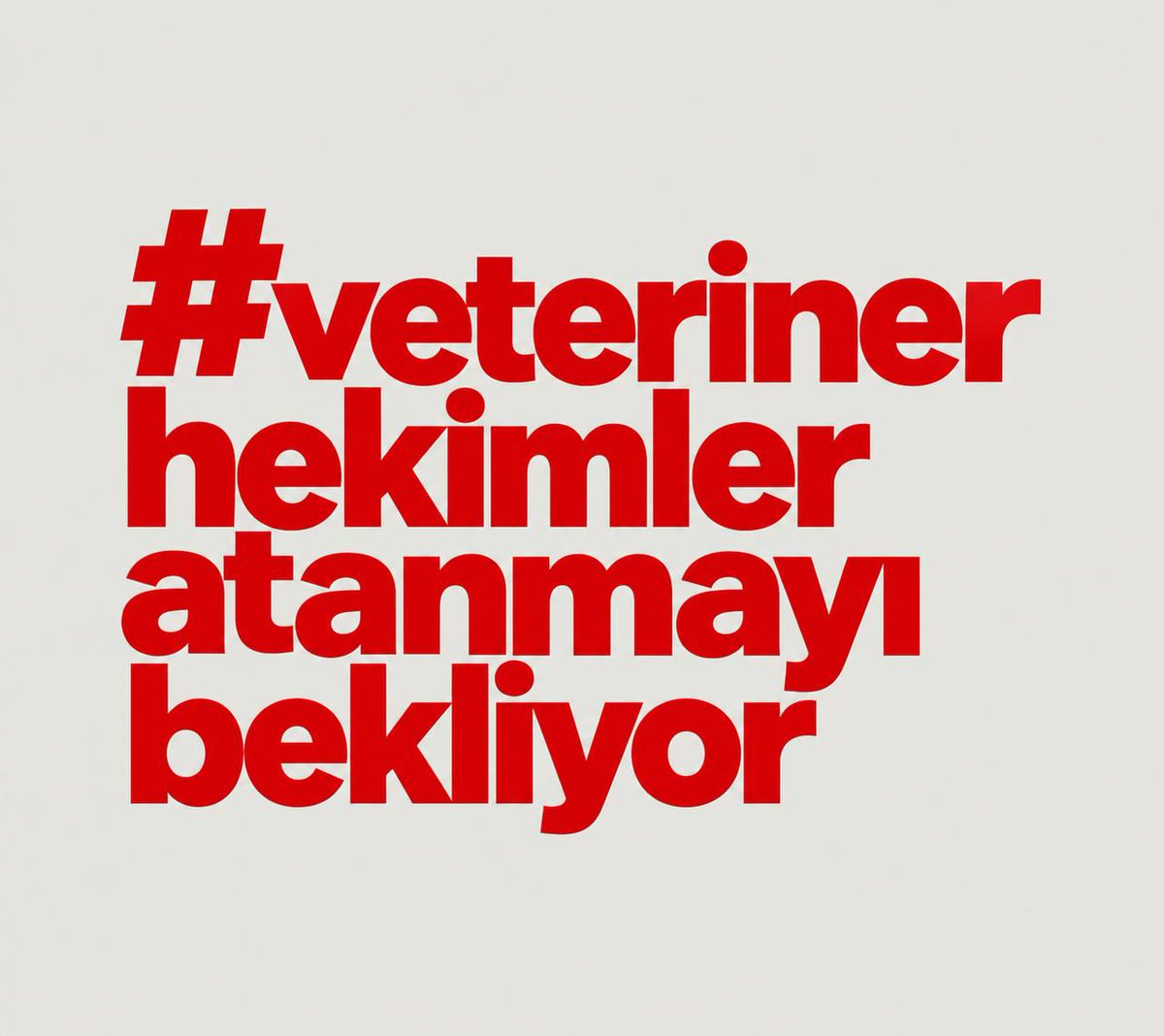vet_hek19's tweet photo. Veteriner hekimlik yalnızca bir diploma değil, büyük bir sorumluluktur. Bu sorumluluğu kamu hizmetinde üstlenmeye hazır meslektaşlarımızın istihdam edilmesi için yeterli atama yapılmasını bekliyoruz.
#veterinerhekimleratanmayıbekliyor https://t.co/F5ULRk9A1i