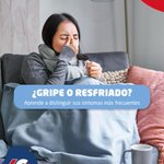 Photo by COFAS (Cooperativa Farmacéutica Asturiana) (@iCOFAS)