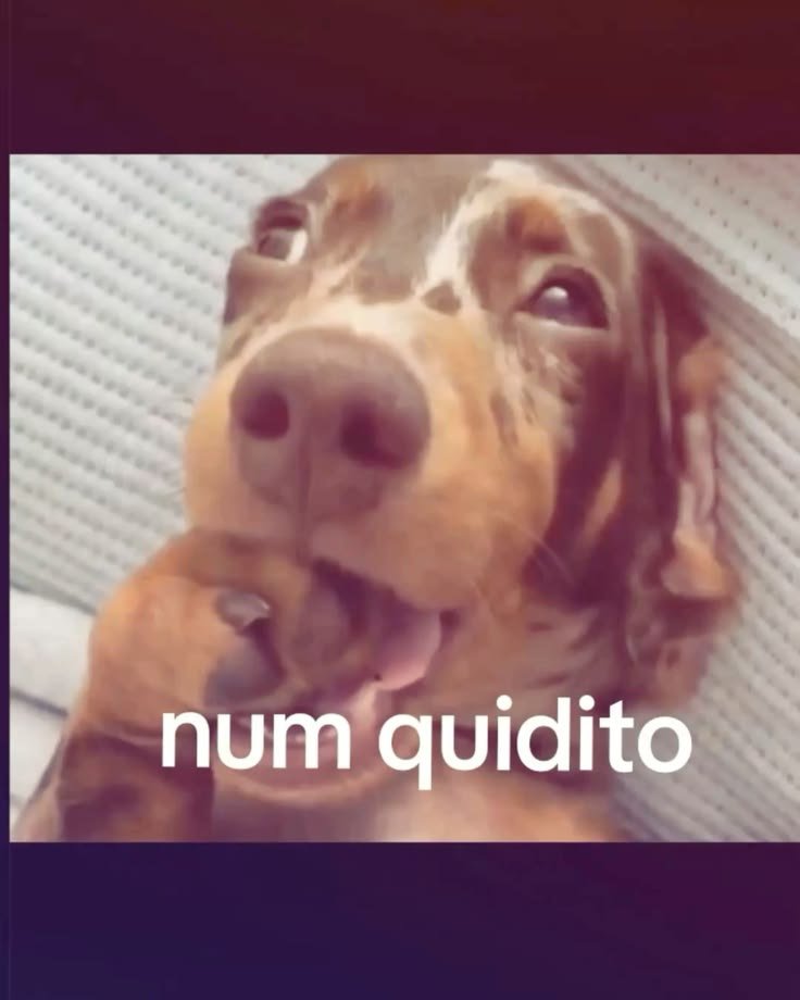 Lillyantl's tweet photo. @camilths28 QUE, eu quero tb https://t.co/vBfjuabUiY