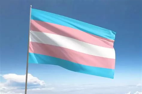 softpupsunny's tweet photo. okay so because i've been getting a lot of followers i need to do something ...

repost if u think trans rights are human rights ! and if u don't agree please stop following me ^_^ https://t.co/WCtvrpUXg1
